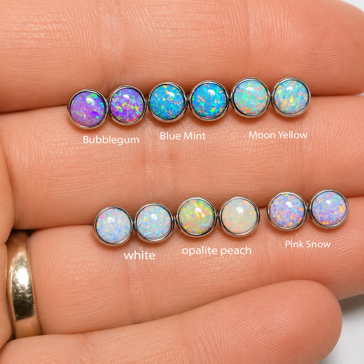 Implant Titanium Earrings Starter Display Sugarplum Collection