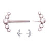 Threadless Complete Nipple Barbell 14g/14mm