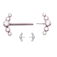 Threadless Complete Nipple Barbell 14g/14mm