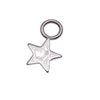 Star Titanium Charm