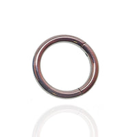 12g Titanium Hinged Seamless Clicker hoop