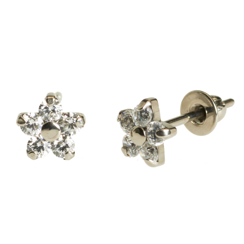 Titanium Flower  CZ Earrings