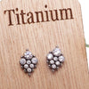 Titanium CZ Cluster Earrings